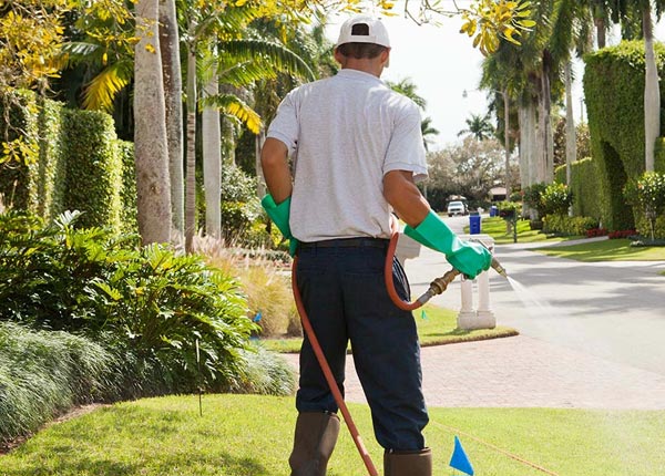 About Bowie AZ Pest Control